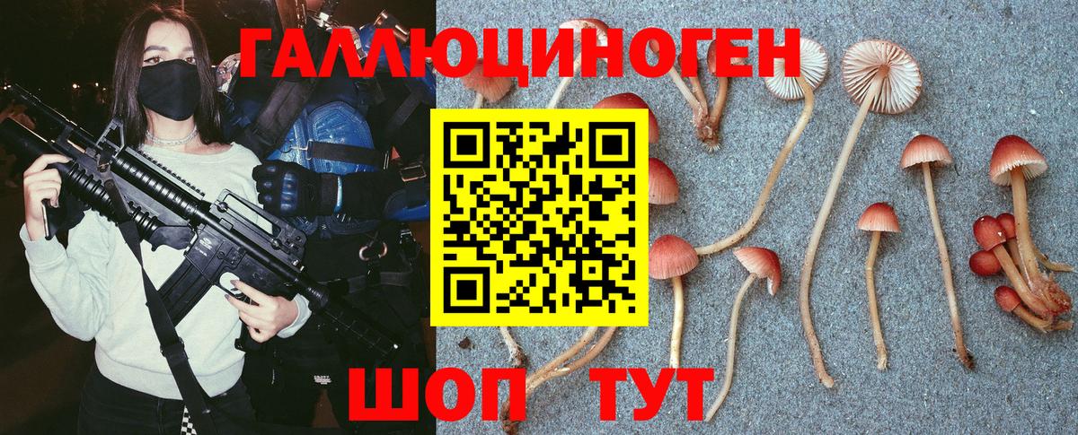 купить наркотик  Псилоцибиновые грибы Psilocybine cubensis  Вход с VPN  Гатчина 